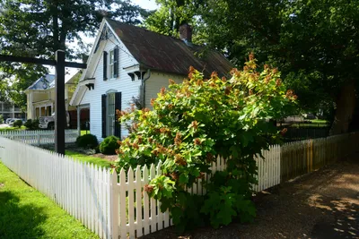 DSC_2744 (Large).JPG